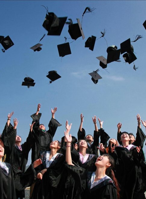 pexels-pixabay-267885